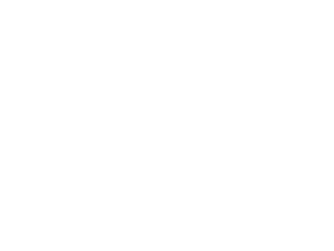 klienten-audi